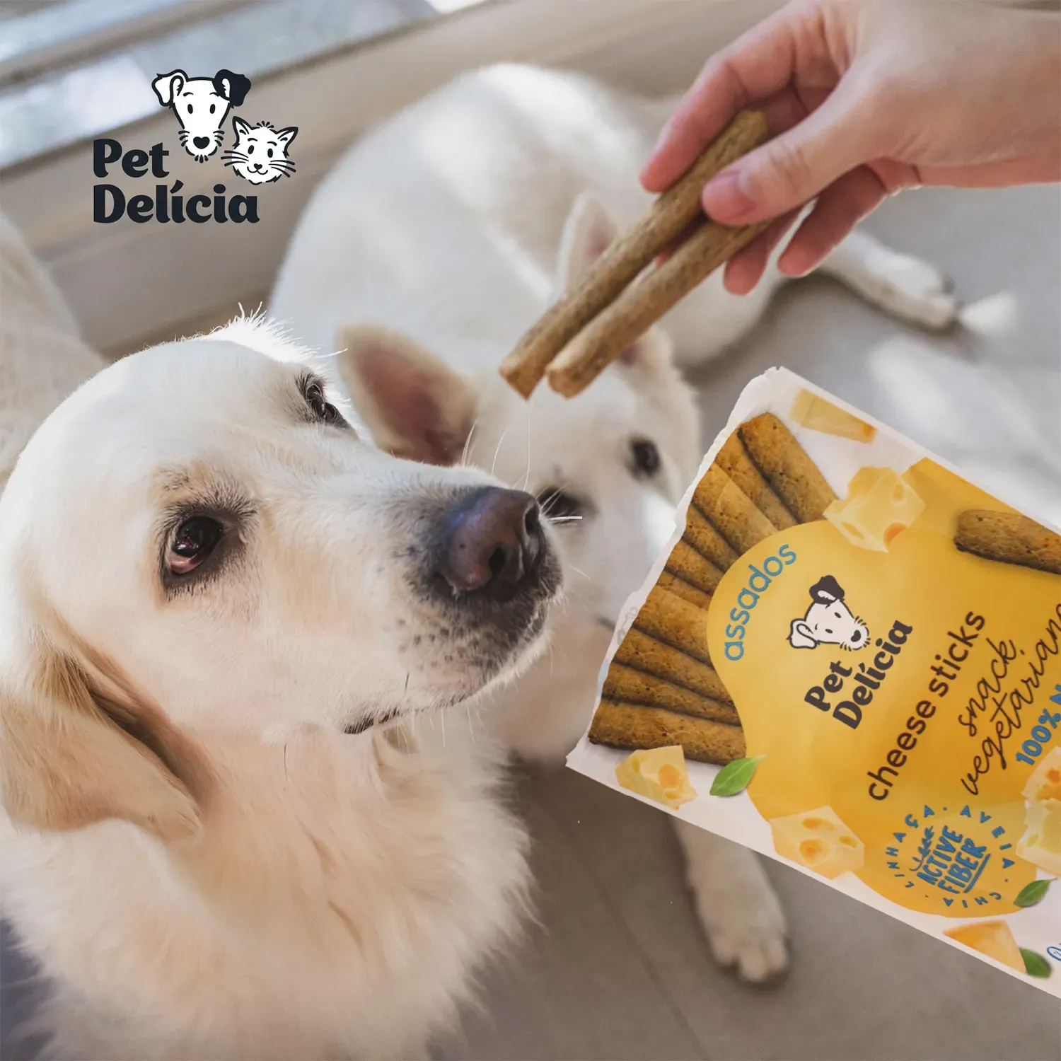 Oferecendo para o Cachorro